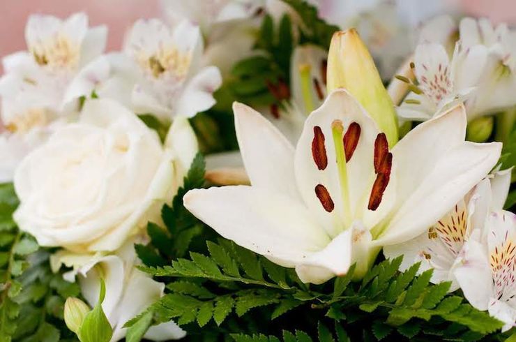 お花